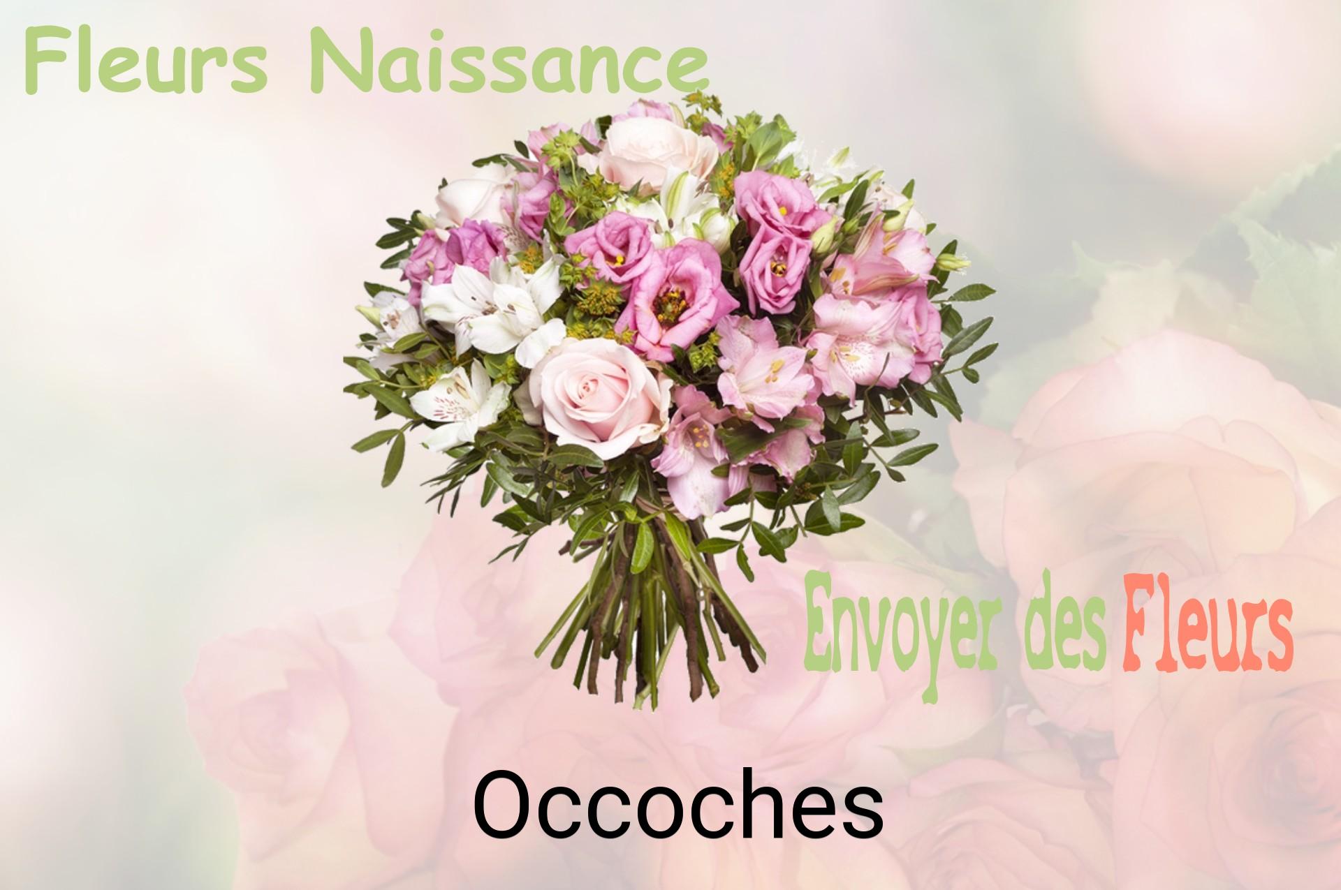 Bouquet de fleurs de naissance livré à Occoches